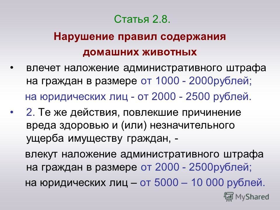 Содержание нарушения. Нарушения правил содержания. Штраф за ненадлежащее содержание животных. Нарушение правил содержания домашних питомцев. Статья 2 2 8.